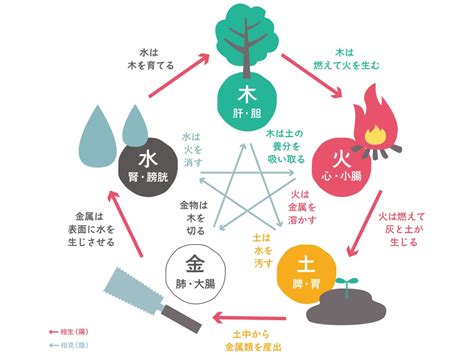 木火土金水 性格|【四柱推命】火の五行の性格